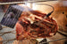 Omcan MAT2004.0 meat curing cabinet detail view