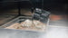 Omcan PES20T4.0 fish curing cabinet additional view