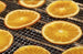 Omcan CE-CN-0012-E 12 tray stainless steel food dehydrator with digital control