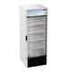Hoshizaki FM-23-HC glass door freezer merchandiser angled view