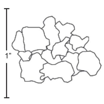 Flake ice piece dimensions produced by the Hoshizaki F-801MWJ
