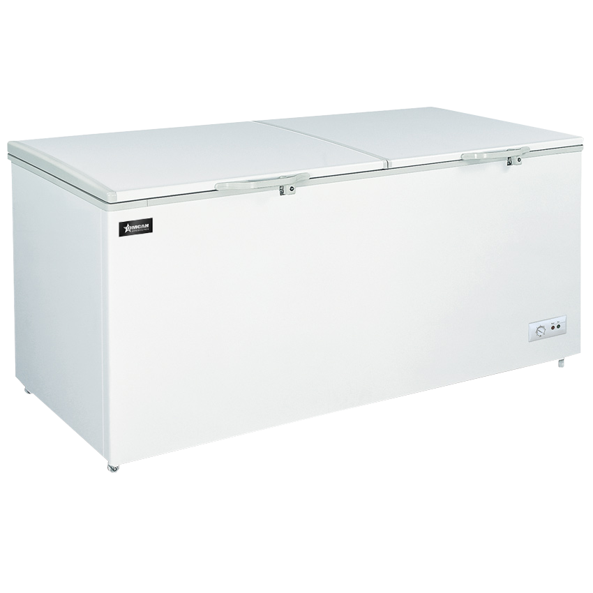 Omcan FR-CN-0600 chest freezer