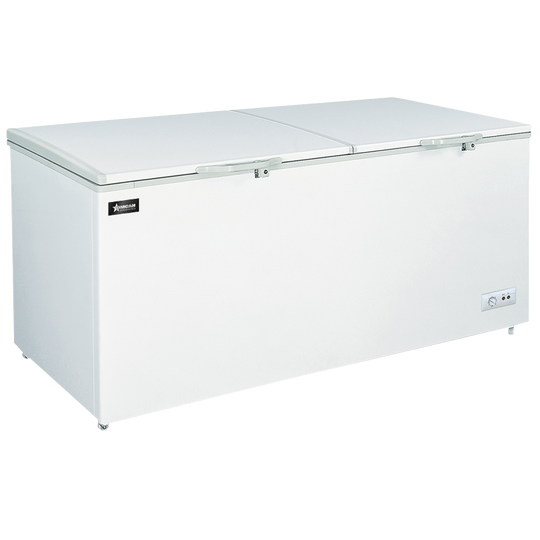 Omcan FR-CN-0600 chest freezer